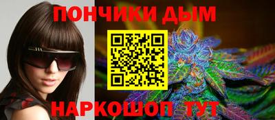 крисы Гай