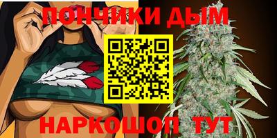 крисы Гай