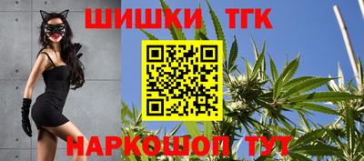 крисы Гай