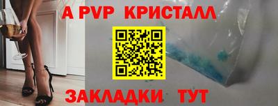 крисы Гай