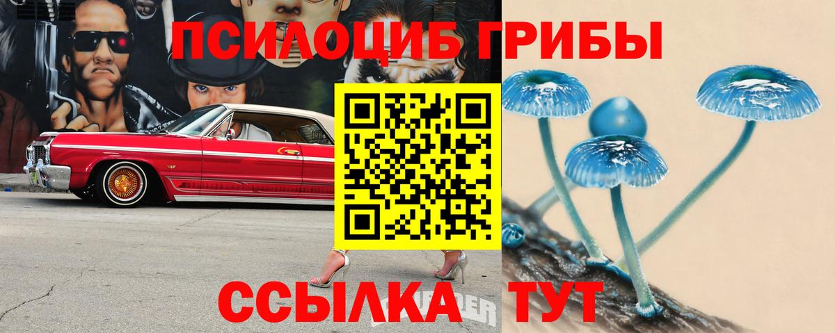 Галлюциногенные грибы MAGIC MUSHROOMS Кашира
